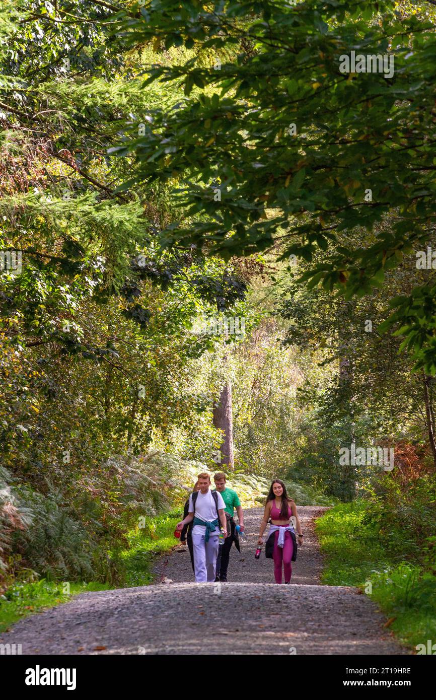 Gente che cammina in autunno nella foresta di Delamere, Cheshire, Inghilterra, Regno Unito Foto Stock