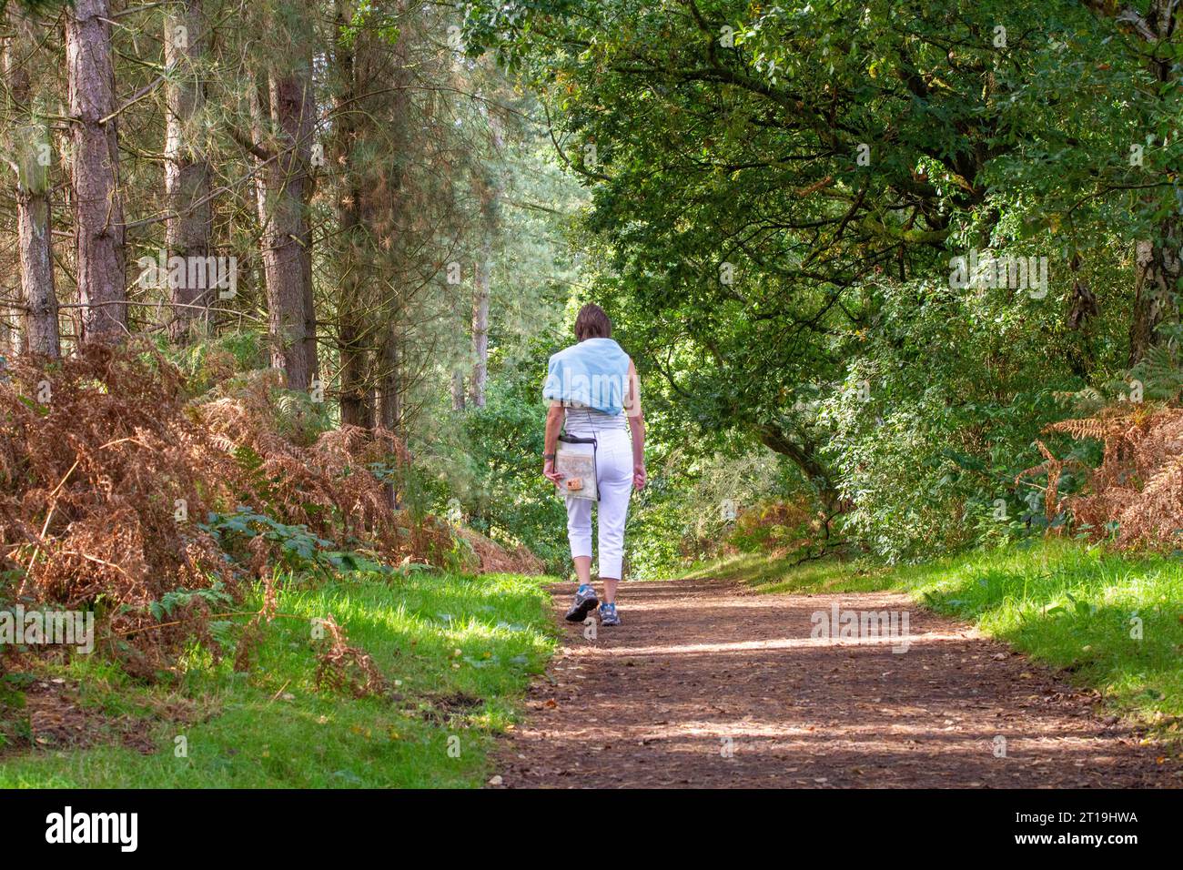 Persone che camminano in autunno lungo il sentiero di arenaria nella foresta di Delamere, Cheshire, Inghilterra, Regno Unito Foto Stock
