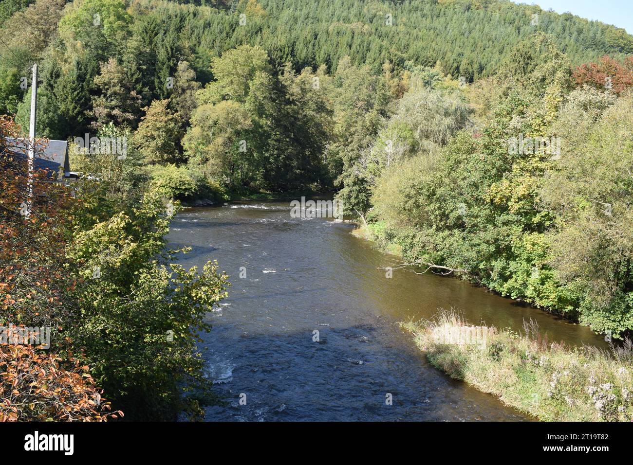 fiume in autunno colorato Belgio Ardenne Foto Stock