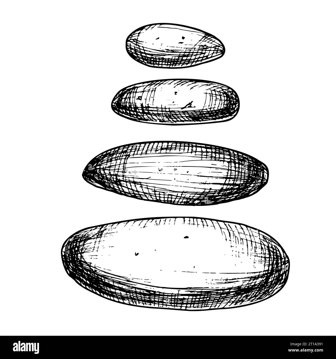Insieme di pietre marine di dimensioni diverse isolate su uno sfondo. Illustrazione vettoriale disegnata a mano di ciottoli sott'acqua per lo stile zen in line art. Decorazioni per acquari. Fascio di rocce per design spa. Illustrazione Vettoriale