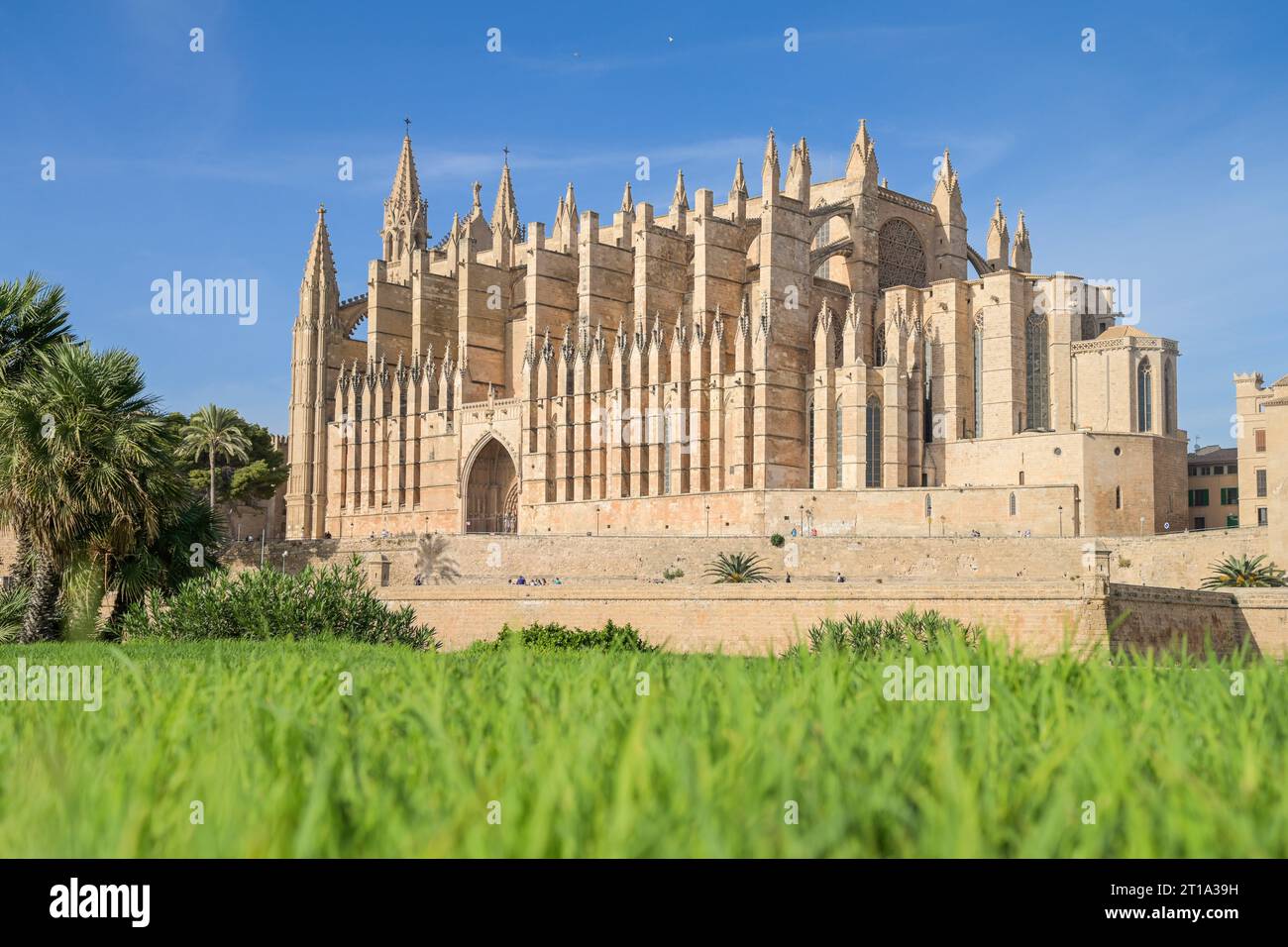 Südansicht der Kathedrale, Catedral de Palma de Mallorca, Palma, Mallorca, Spanien Foto Stock