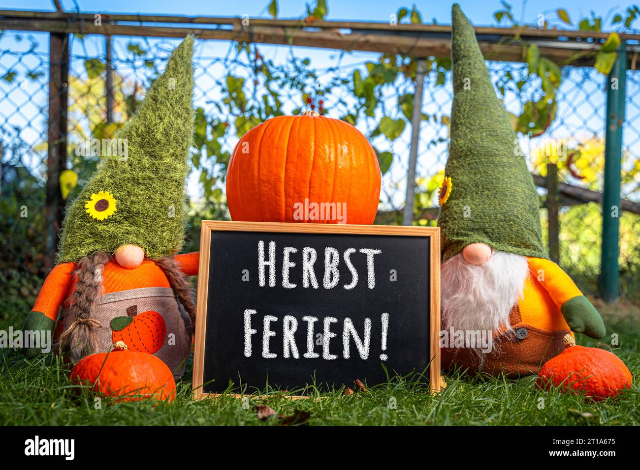 Augusta, Baviera, Germania. 11 ottobre 2023. Gnomi da giardino in giardino vicino alla zucca con una targa con il testo: Autumn Holidays PHOTOMONTAGE *** Gartenzwerge im Garten neben Kürbis mit einer Tafel mit Text: Herbst Ferien FOTOMONTAGE Credit: Imago/Alamy Live News Foto Stock