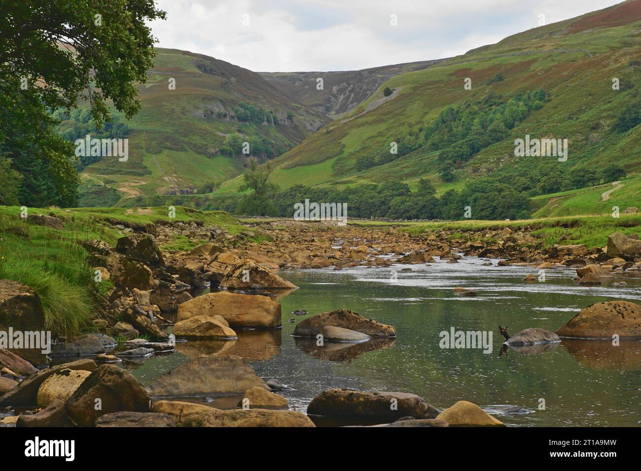 Il fiume Swale nell'Upper Swaledale, Yorkshire Dales, North Yorkshire, Inghilterra, Regno Unito Foto Stock