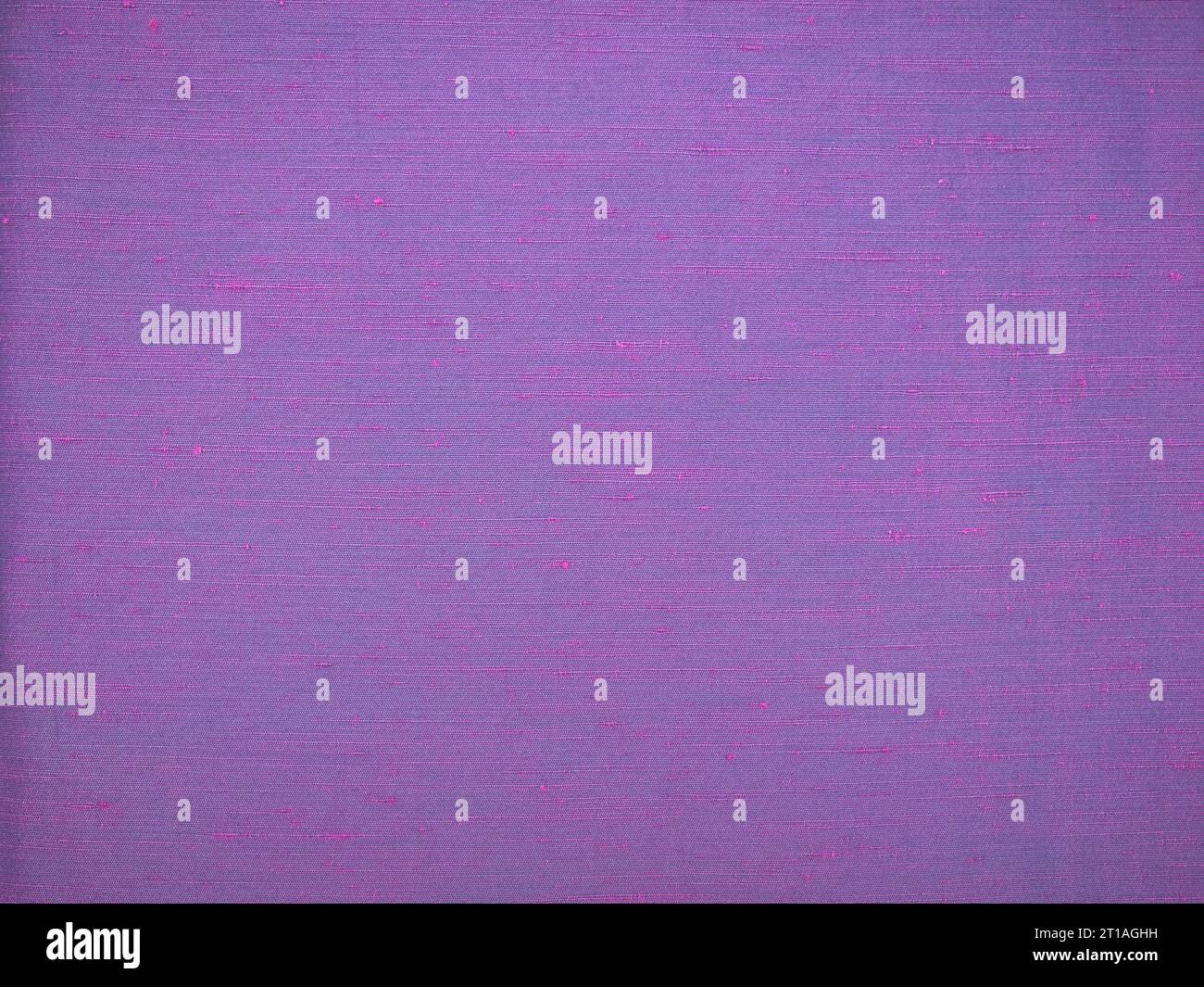 Immagine in primo piano che mostra la consistenza della seta cruda di dupioni viola. Texture slubby a righe. Per sfondo con testo o esempio dettagliato. Foto Stock