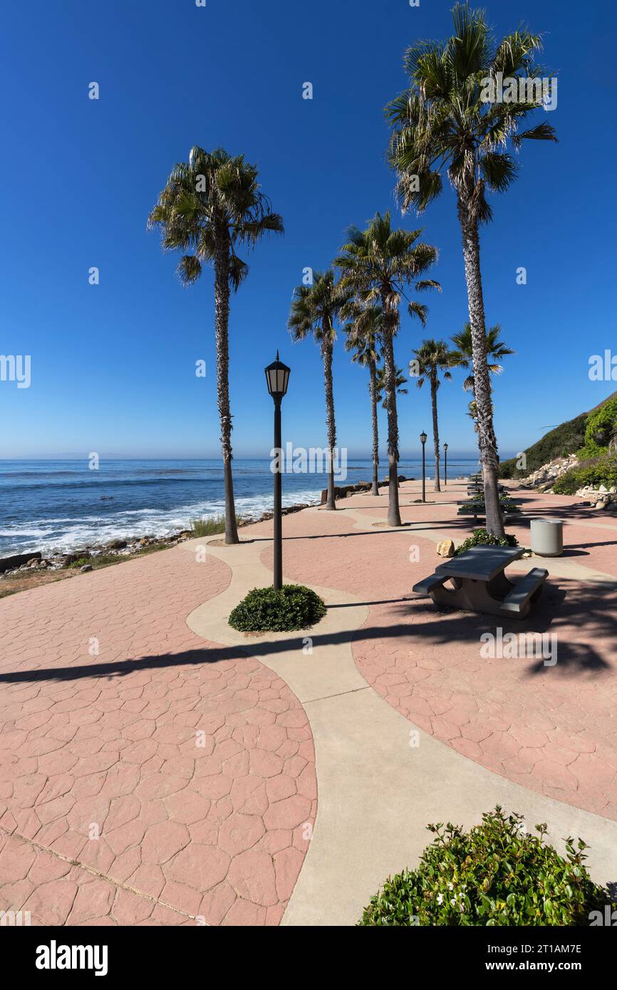 Royal Palms al Whites Point Beach Park vicino a San Pedro nella contea di Los Angeles, California. Foto Stock