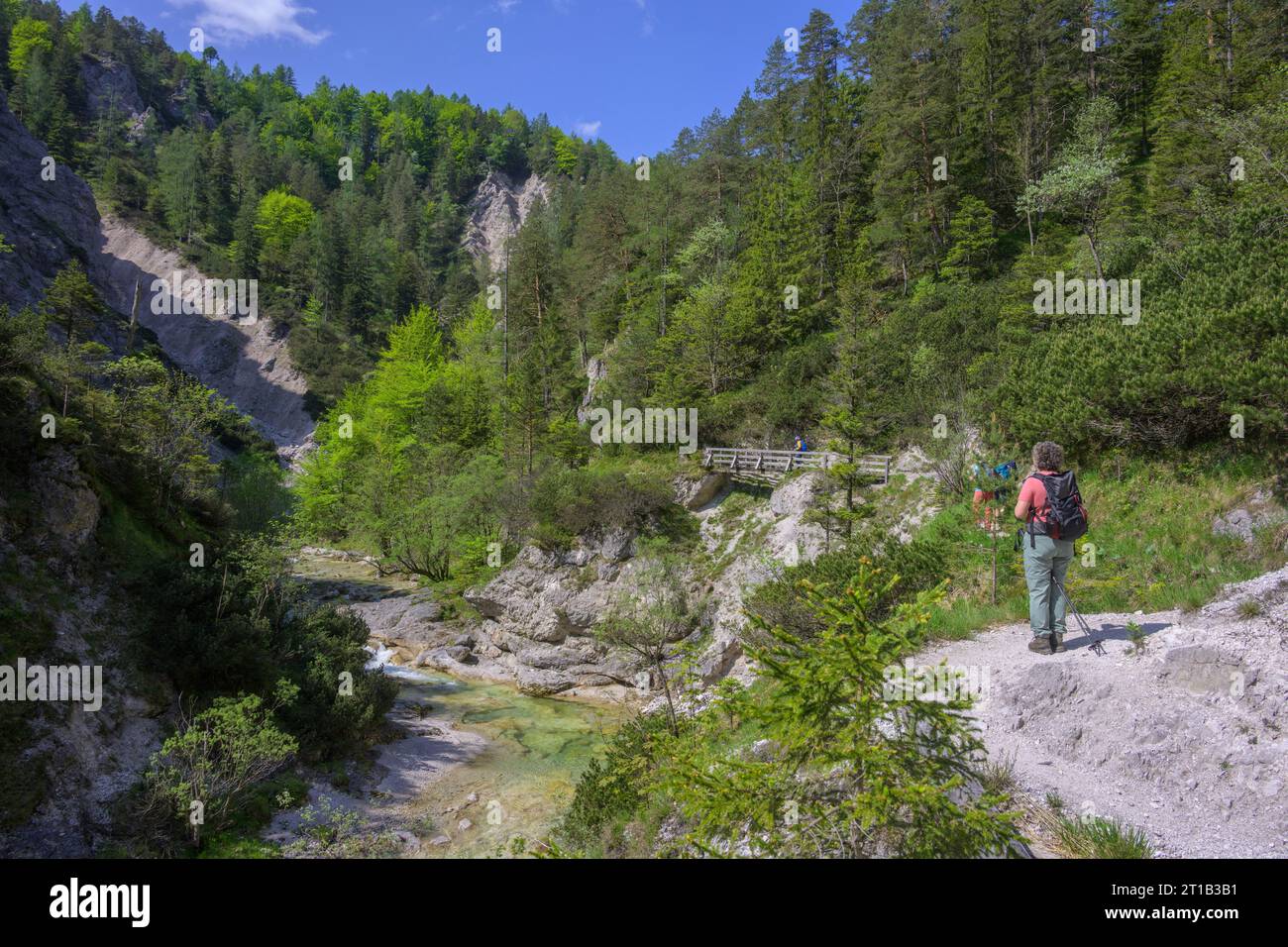 Escursioni a Oetschergraben, Mitterbach am Erlaufsee, bassa Austria, Austria Foto Stock