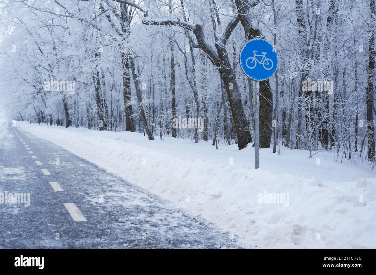 pista ciclabile invernale. vista prospettica svanente, messa a fuoco selettiva Foto Stock