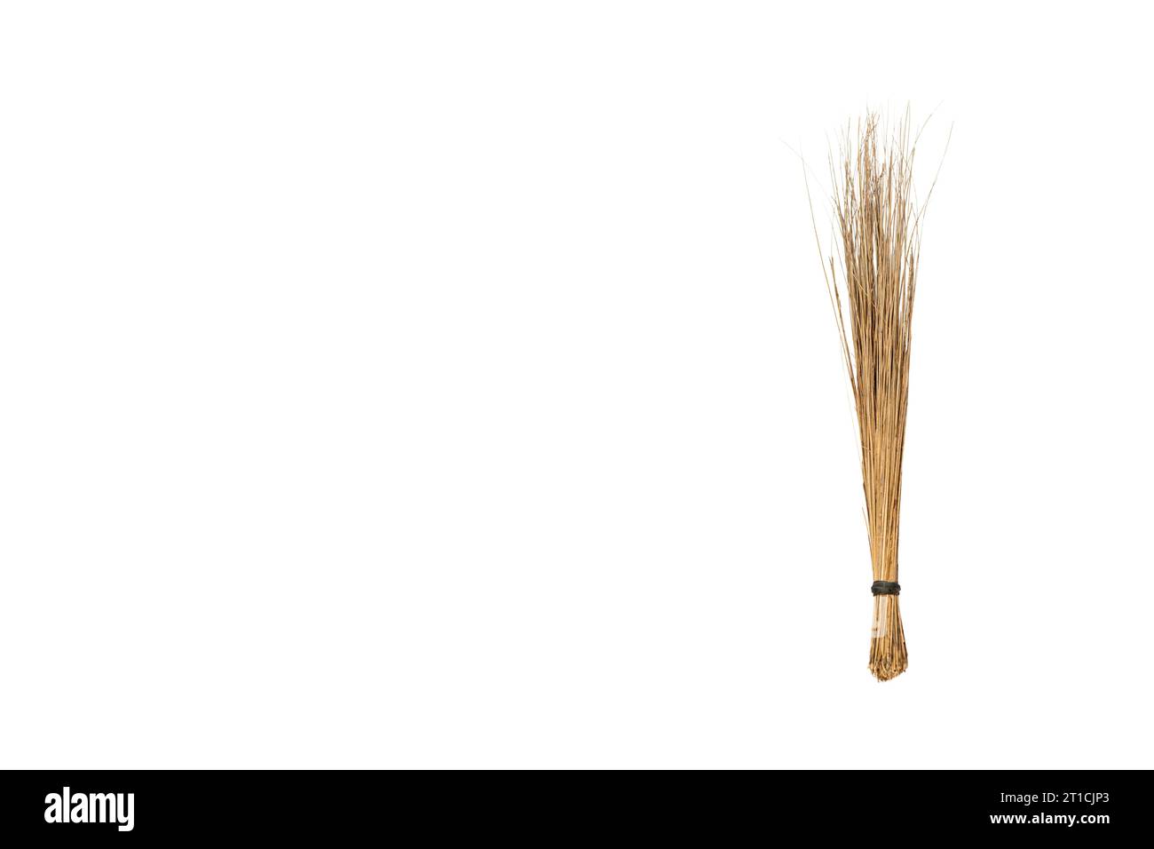 Spazzatrice isolata su uno sfondo bianco con spazio per la copia del testo Foto Stock