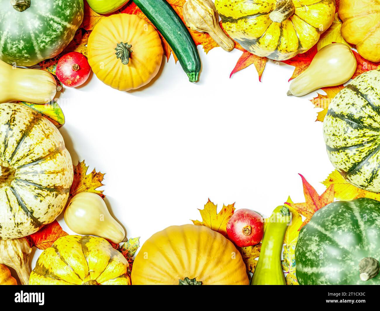Zucche estive, zucche, zucchine e altri raccolti autunnali disposti in cornice con spazio bianco al centro Foto Stock