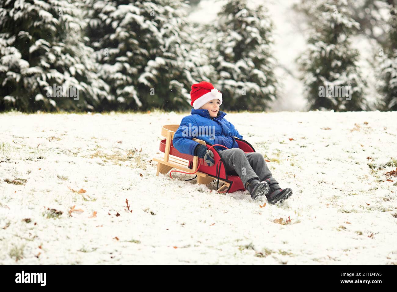 Ragazzo che indossa il cappello di Babbo Natale che scende in slitta su una collina in inverno Foto Stock