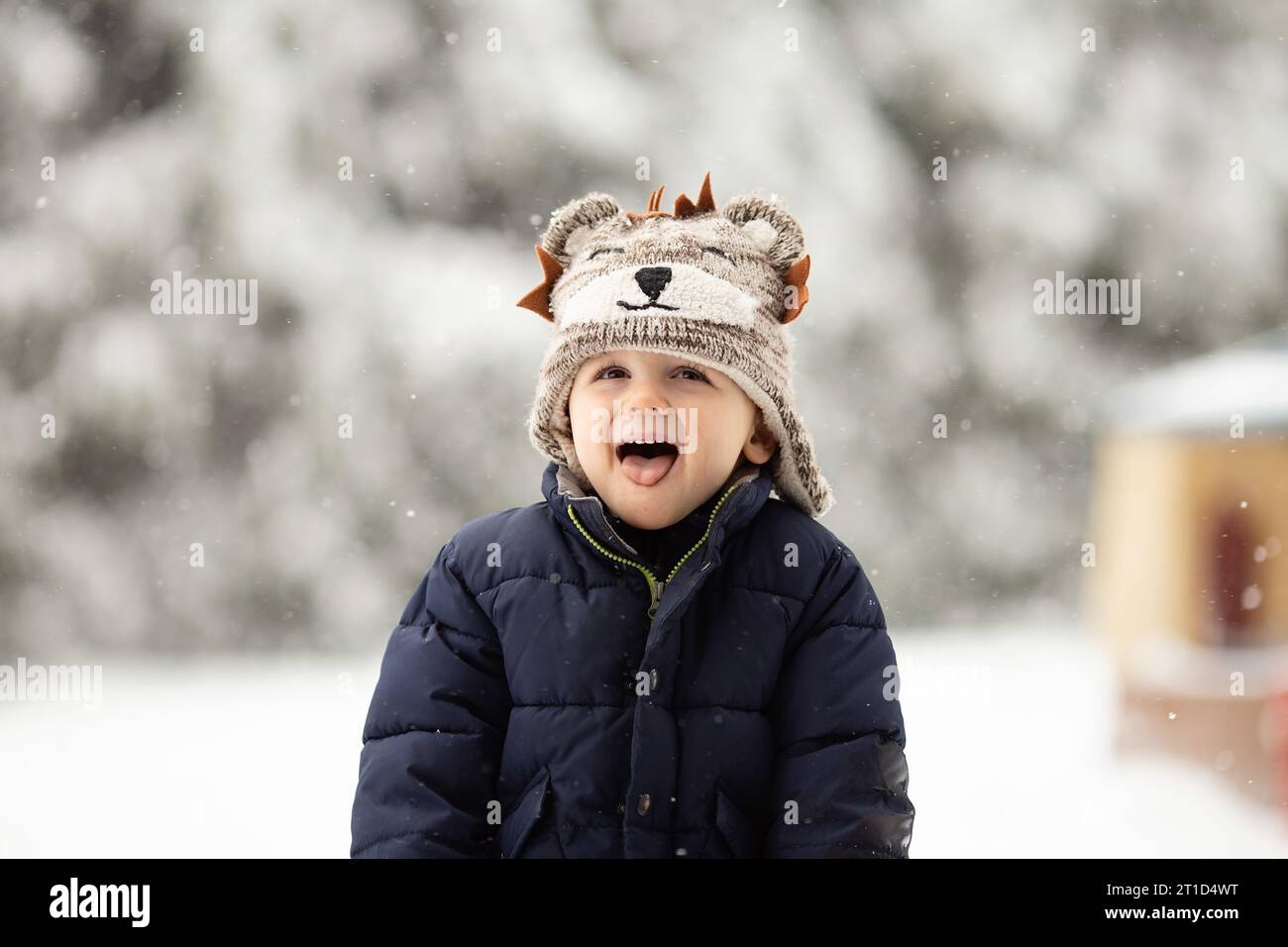 Bambino che cattura con gioia fiocchi di neve sulla lingua Foto Stock