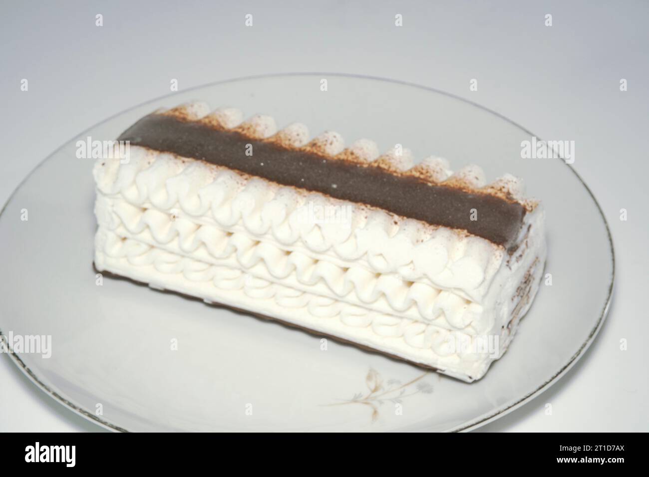 Un primo piano del dessert Gourmet alla vaniglia con strati di cioccolato pregiato dal design elegante. Foto Stock