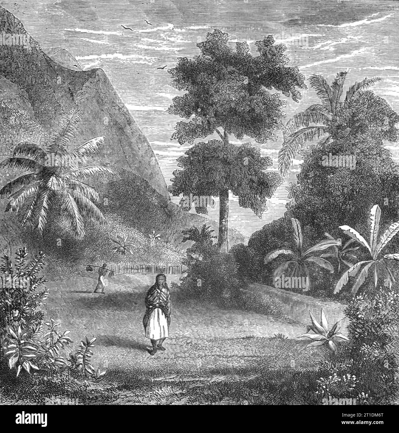 "Vegetazione di Tahiti; speculazioni riguardanti ex geografie meridionali", 1875. Da "Illustrated Travels" di H.W. Bates. [Cassell, Petter e Galpin, c1880, Londra] e Galpin. Foto Stock