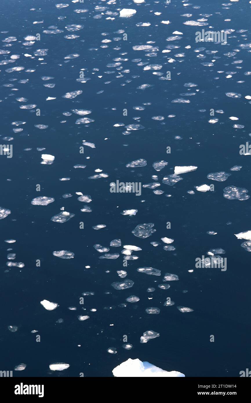 Antartide; Penisola Antartica; sulla strada per l'isola di Yalour; banchi di ghiaccio sparsi Foto Stock