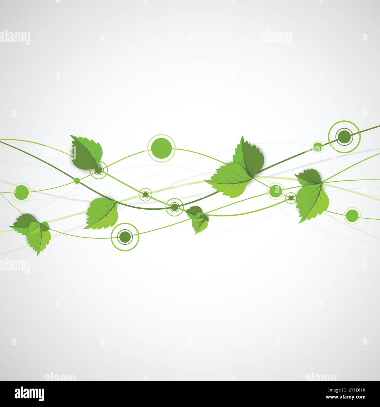 Onda di colore verde con foglie. Vettore tema natura Illustrazione Vettoriale