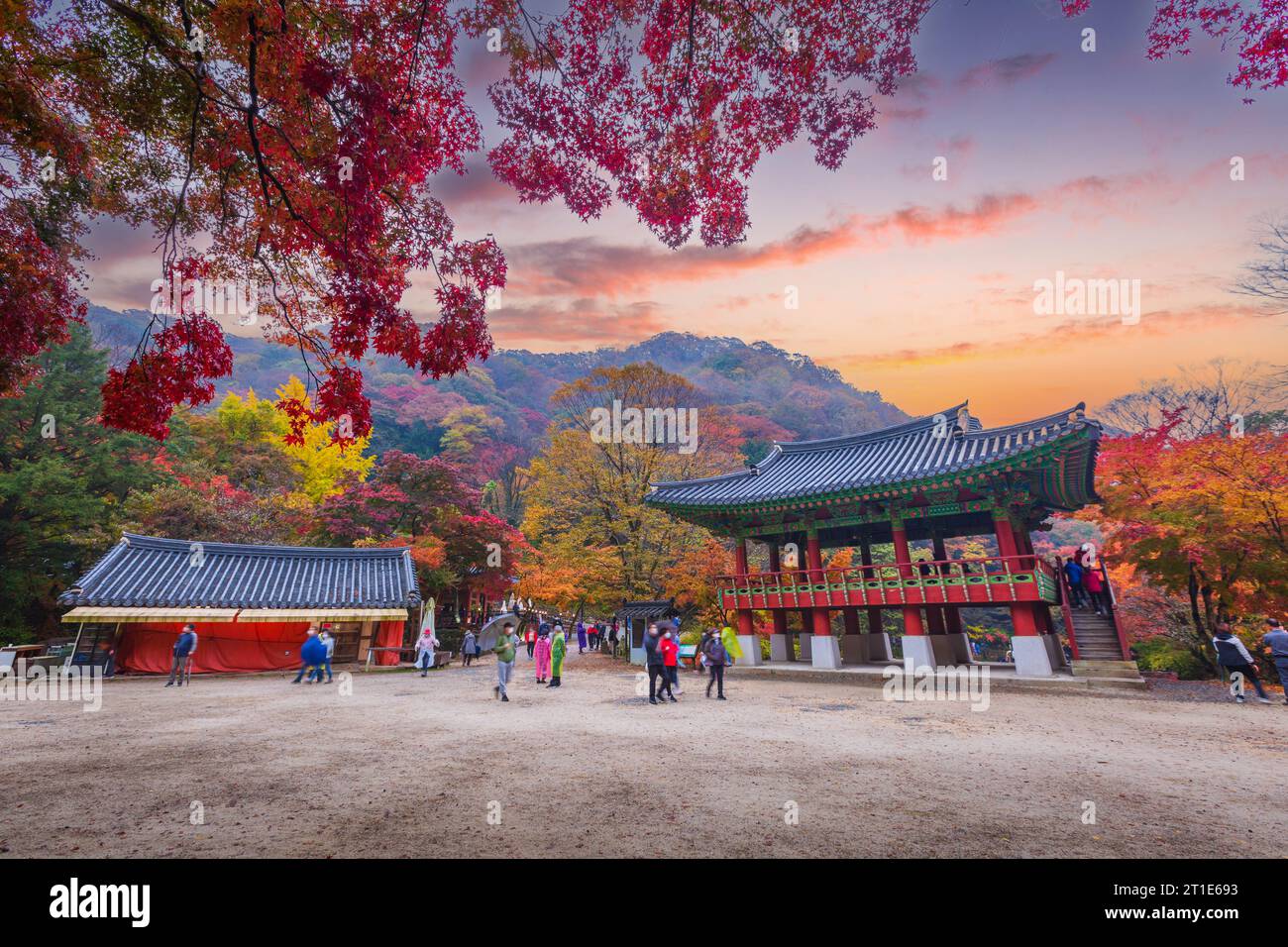Autunno colorato con splendida foglia d'acero al tramonto al tempio di Baekyangsa nel parco nazionale di Naejangsan, Corea del Sud. Foto Stock