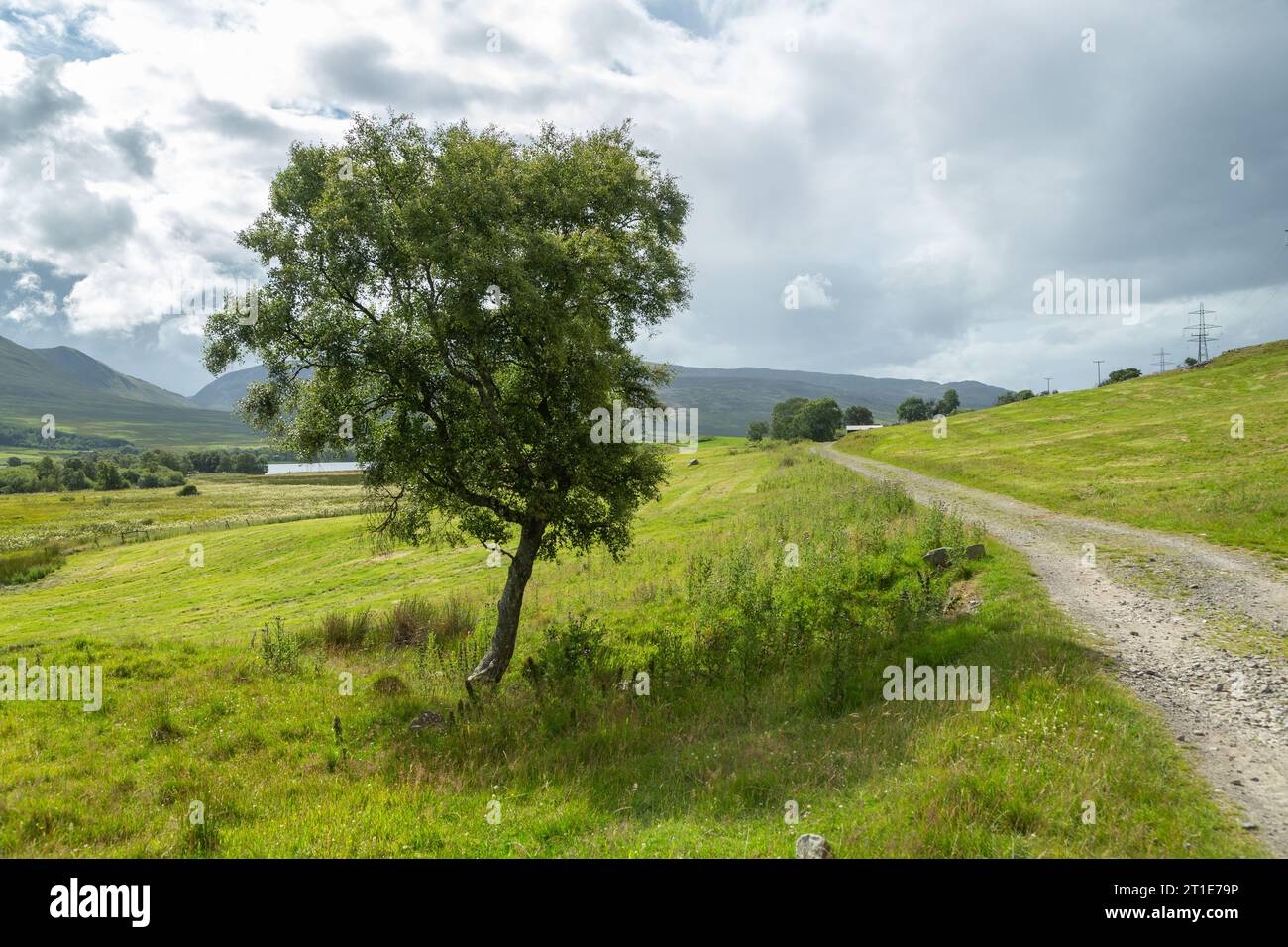 Il sentiero escursionistico Rob Roy Way vicino ad Amulree, Perthshire, Scozia Foto Stock