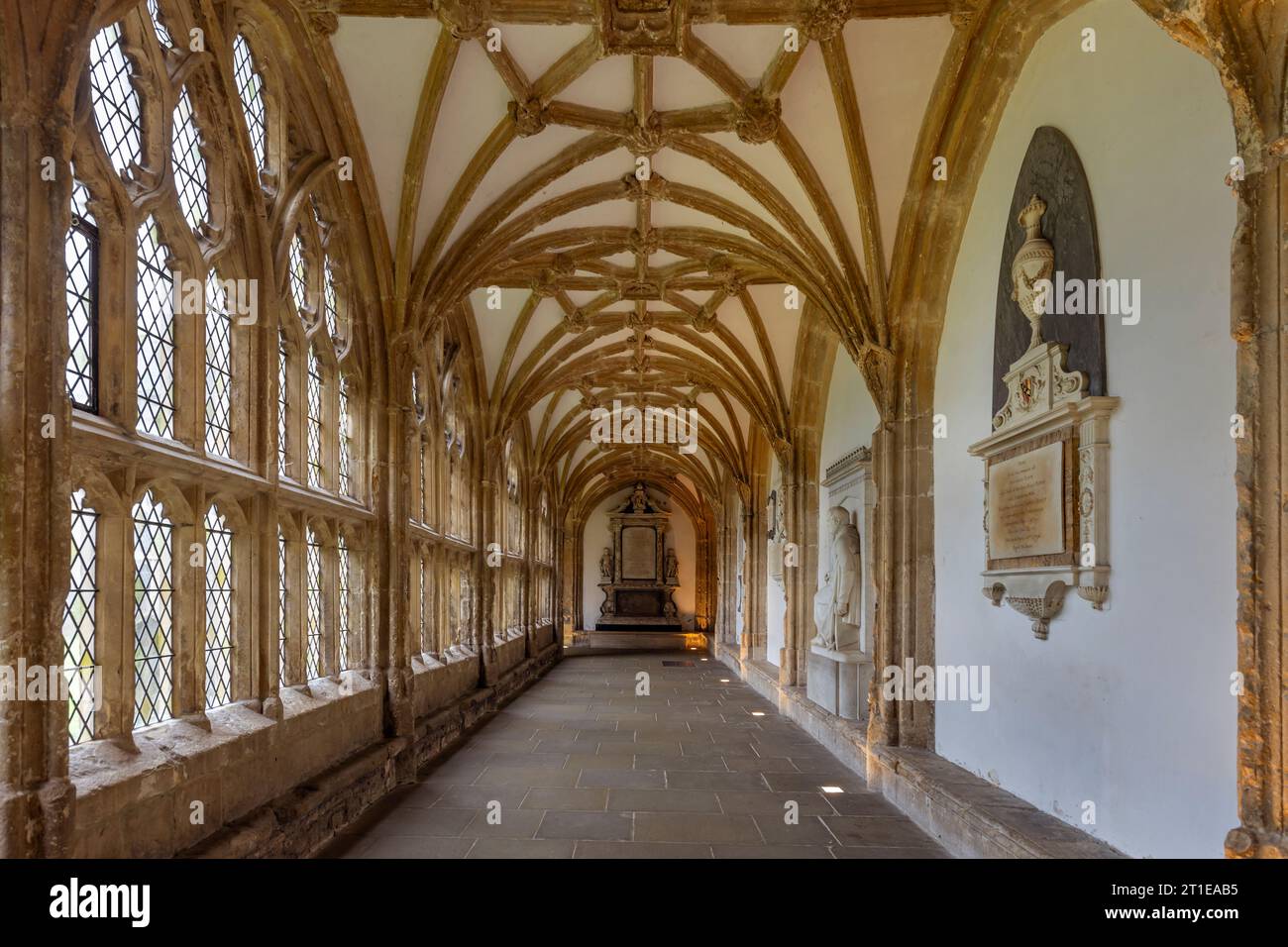 Parte dei magnifici chiostri costruiti intorno al 1500 nella cattedrale di Wells nel Somerset Foto Stock