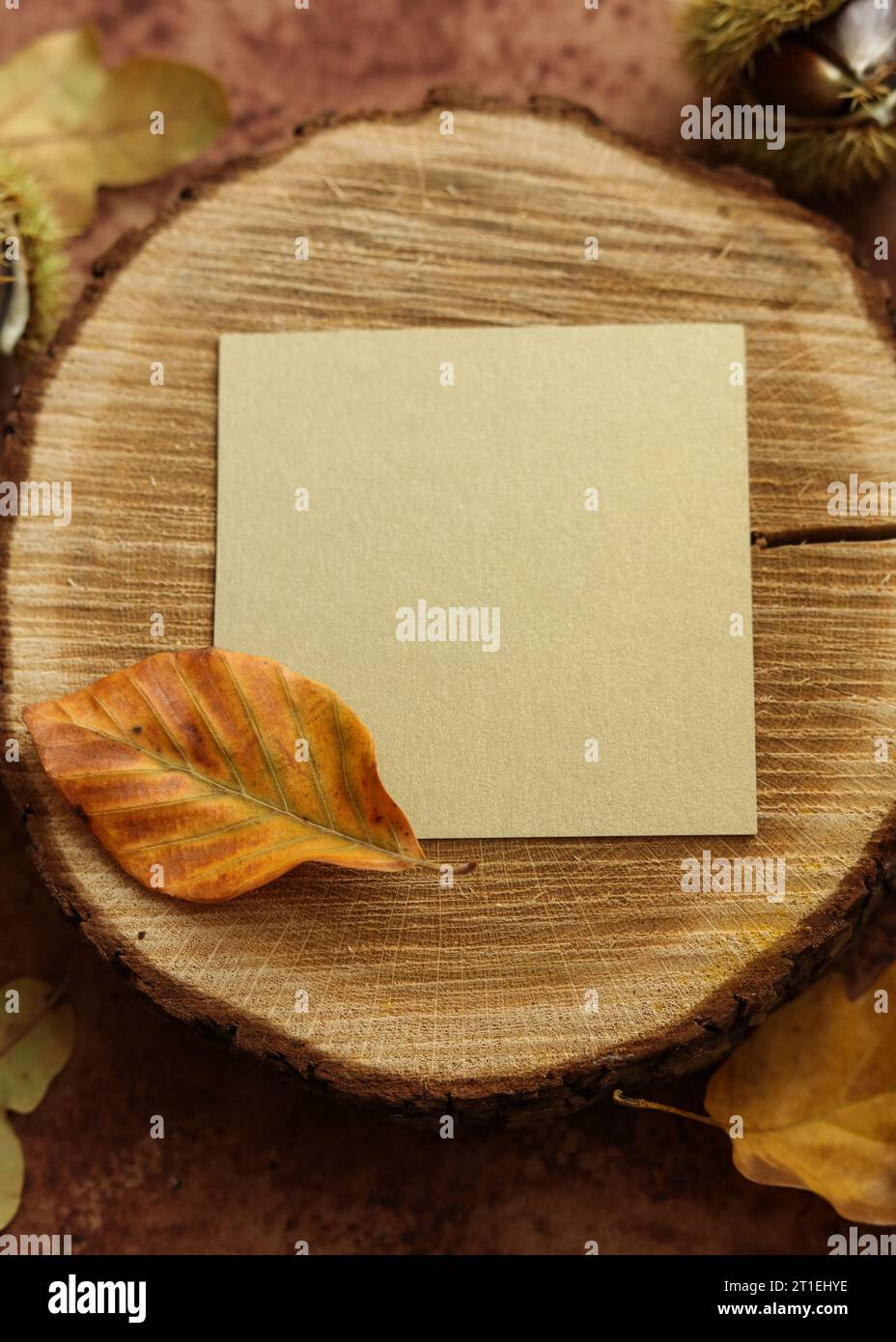 una natura morta con un biglietto bianco su una fetta di legno grezzo con castagne e foglie autunnali su sfondo marrone acquerello Foto Stock