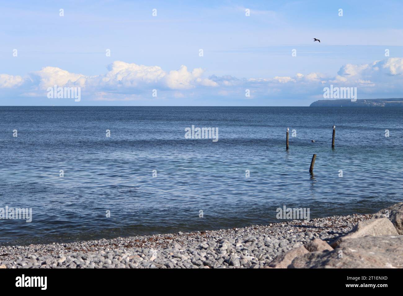 Spiaggia di Vitt sull'isola del Mar Baltico di Rügen Foto Stock