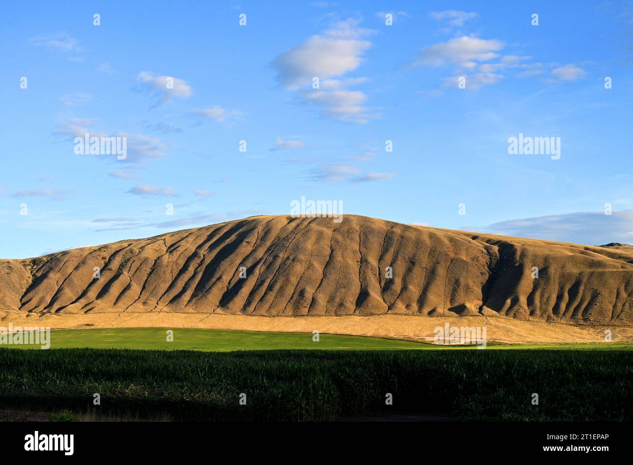 Paesaggio del Canada con montagne. British Columbia Foto Stock