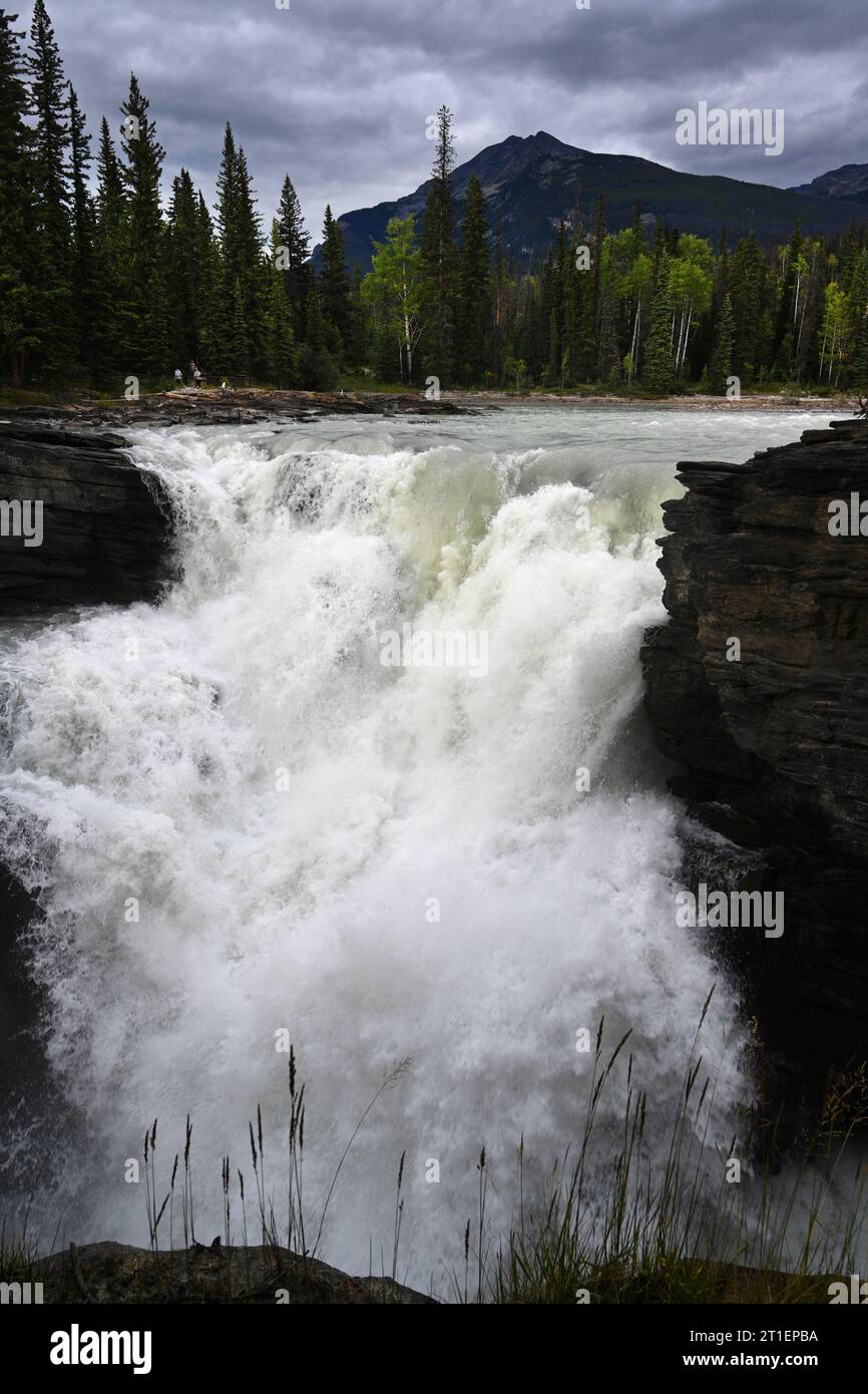 Athabasca Falls è una cascata del Jasper National Park, Alberta, Canada. Foto Stock