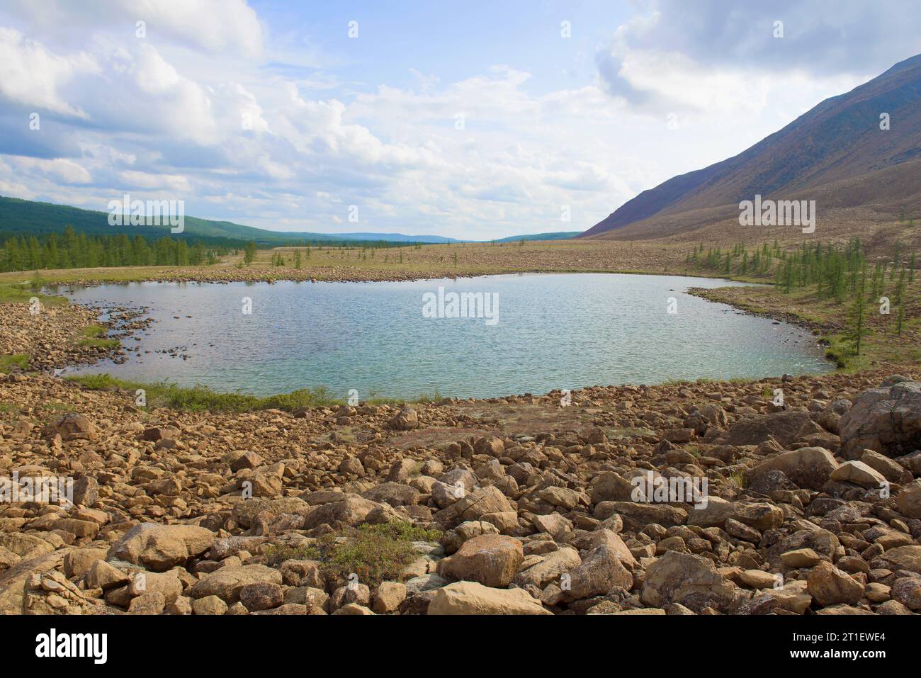 Un piccolo lago ai piedi degli Urali polari in una nuvolosa giornata di agosto. Russia Foto Stock