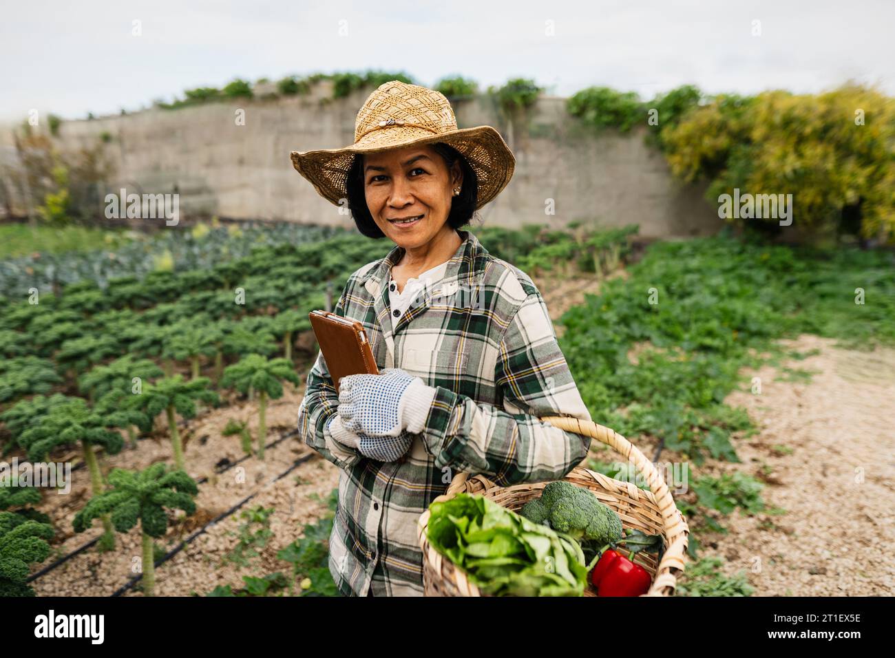 Donna felice del sud-est asiatico che lavora all'interno della terra agricola - concetto di stile di vita della gente di fattoria Foto Stock