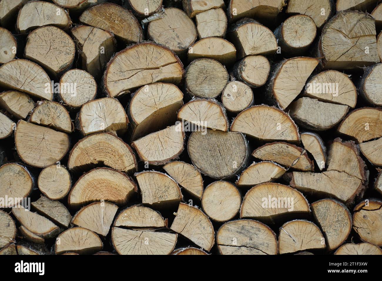 Una vista laterale di una pila di legna da ardere Foto Stock