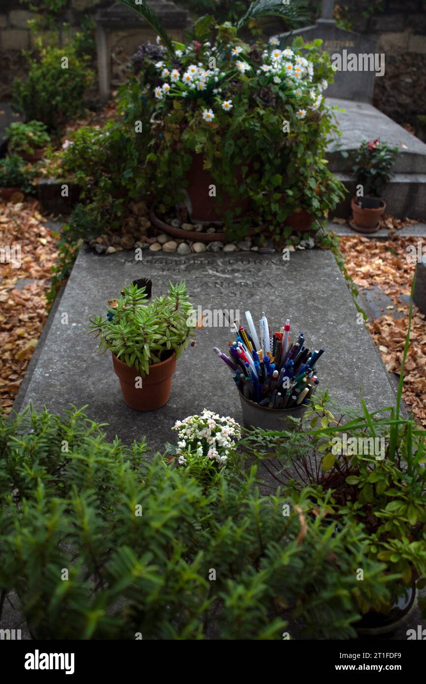 La tomba del romanziere e drammaturgo francese tMarguerite Duras con vasi di penne Cimitero di Montparnasse, Cimetière du Montparnasse, XIV arrondissement Foto Stock
