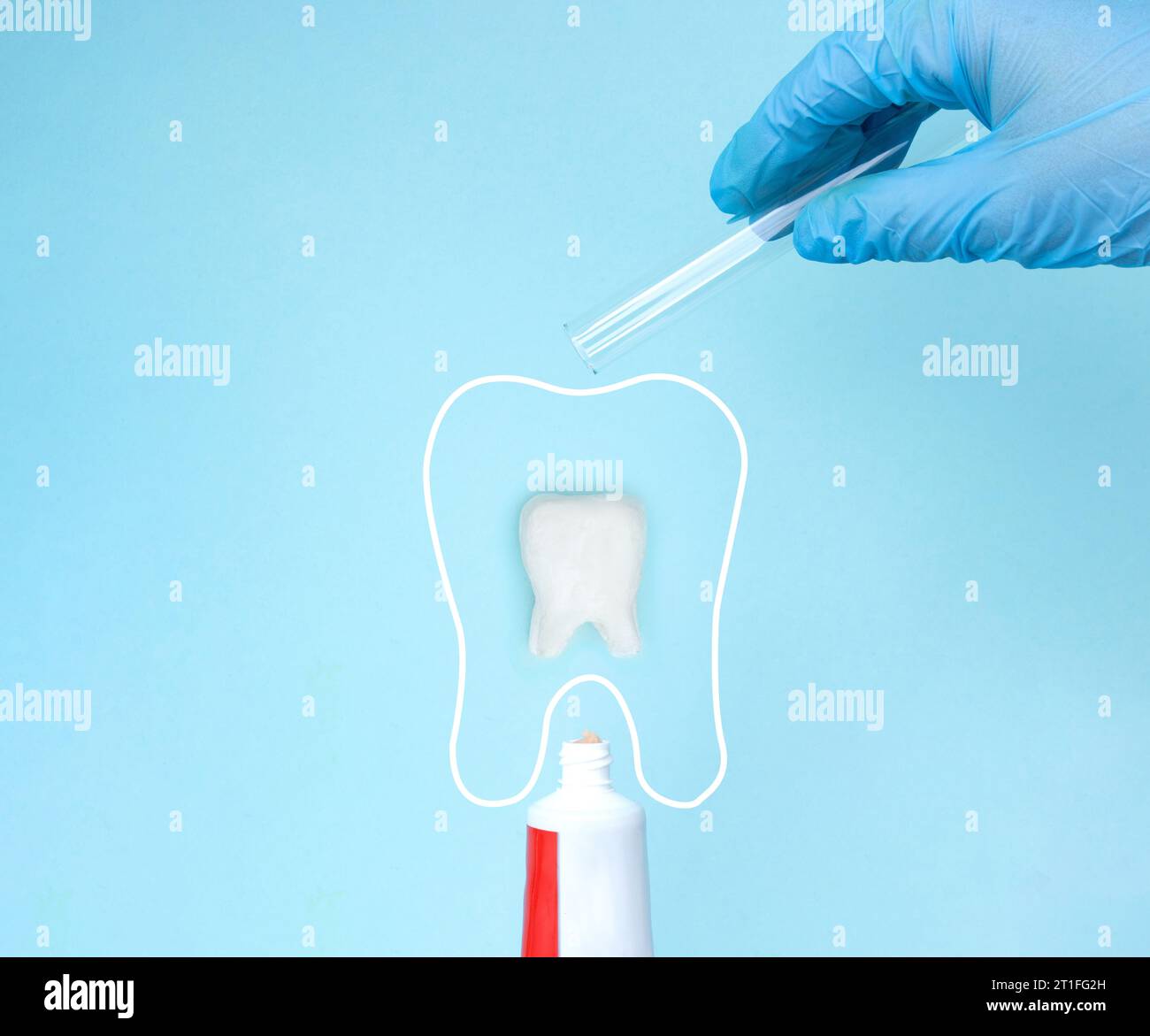 I medici indossano guanti blu per tenere il tubo di vetro con calcio sotto il tubo di dentifricio e il modello molare a denti. Attrezzature dentistiche sane strumenti per la cura dentale. Foto Stock