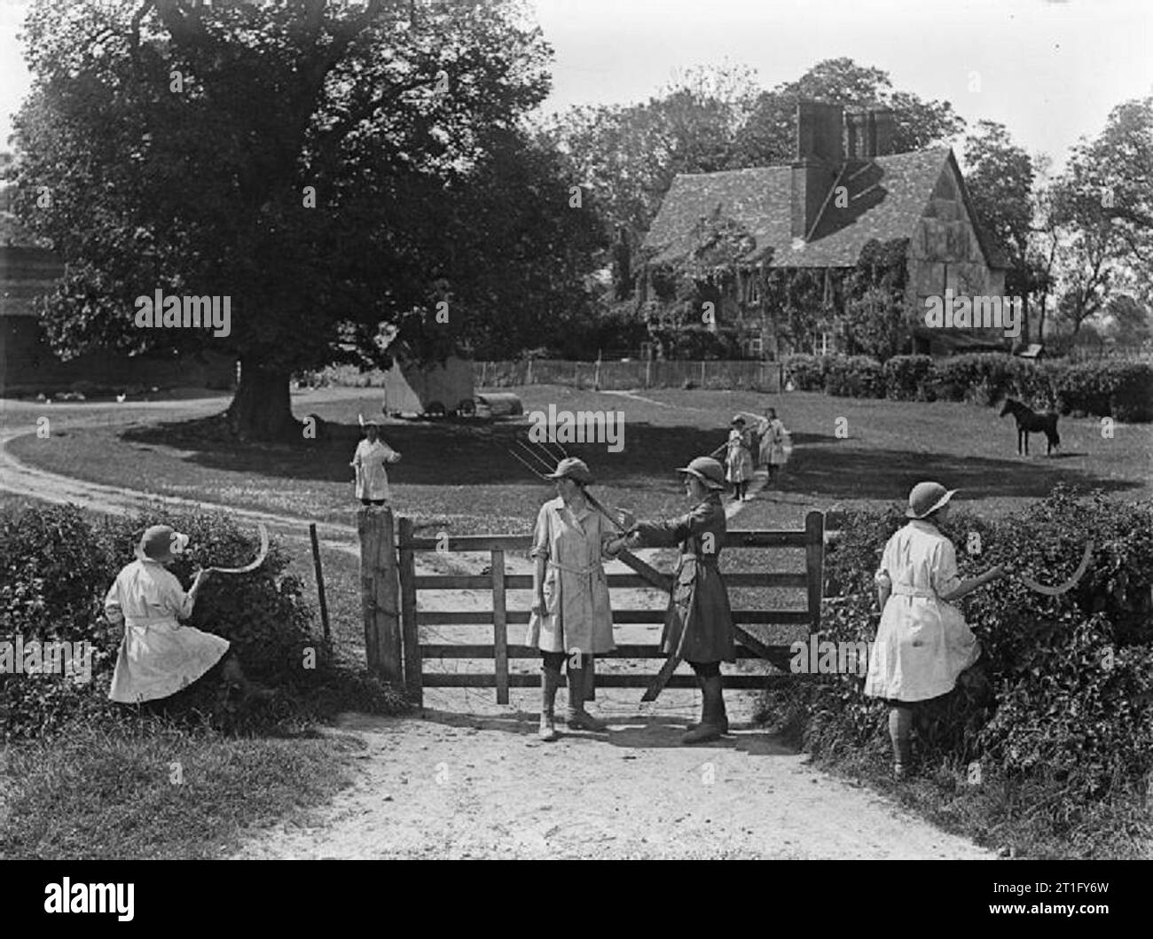 Agricoltura in Gran Bretagna durante la Prima guerra mondiale i membri della Donna Terreno esercito siepi tagliate in una fattoria durante la Prima Guerra Mondiale. Foto Stock