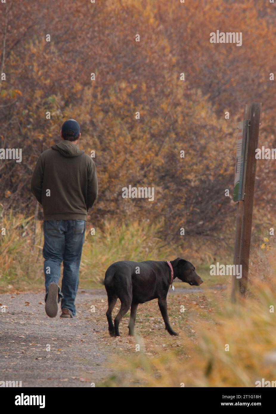 L'uomo e il suo cane fanno una passeggiata autunnale Foto Stock