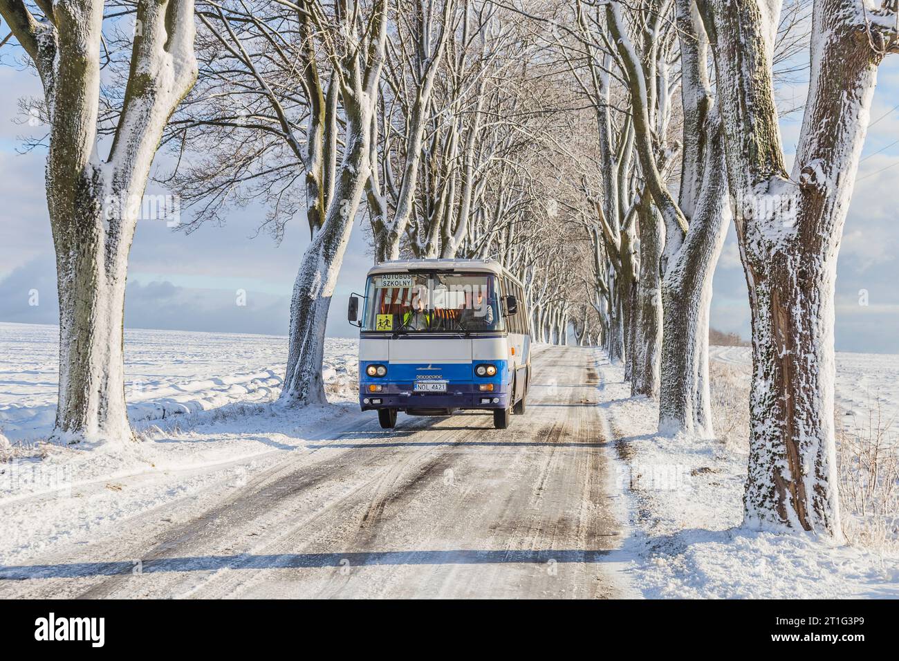 18.01.2019. Polonia, Olsztynek. Autosan H9 di proprietà del comune locale. Foto Stock