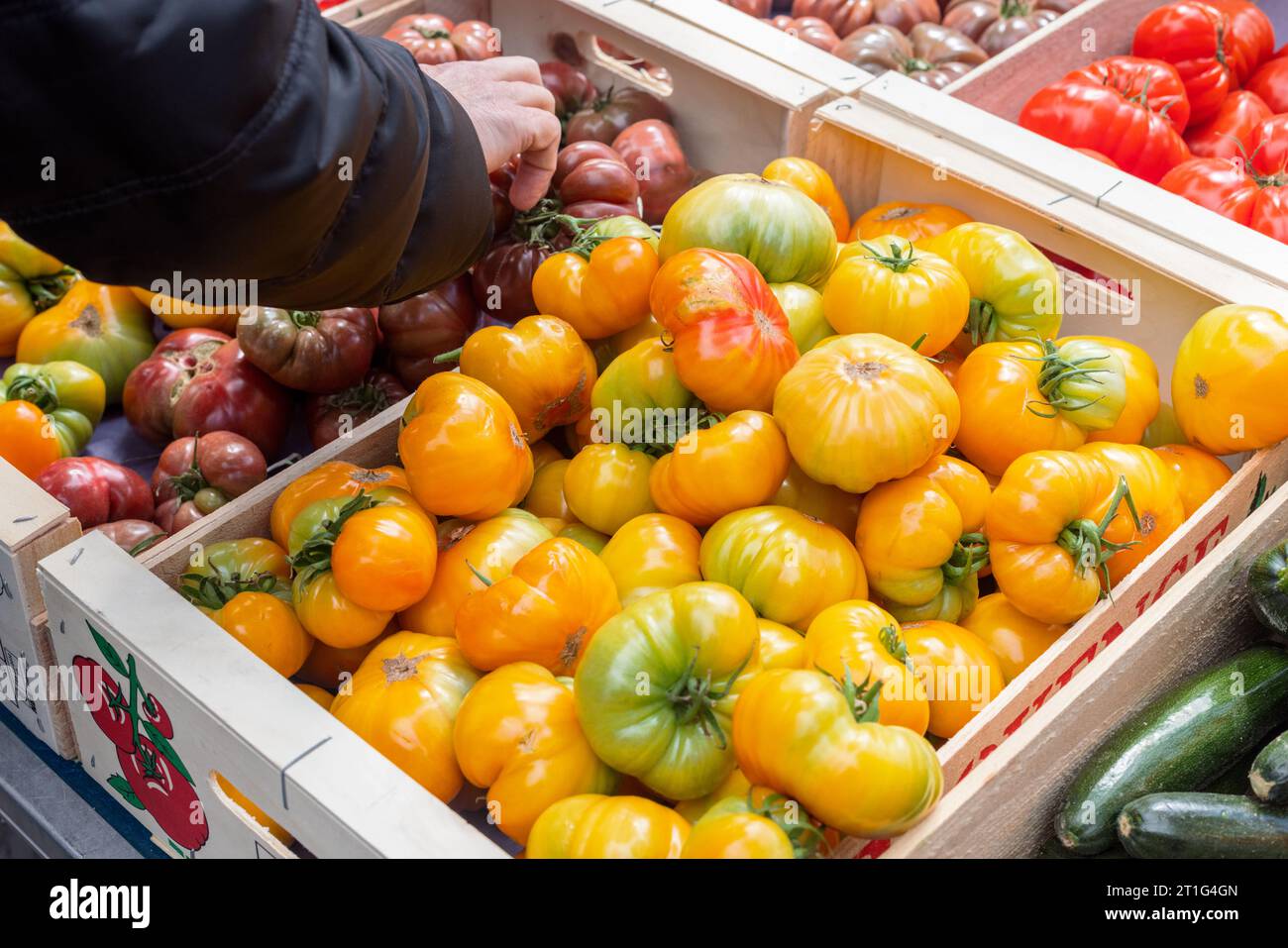 Un cliente si rivolge per selezionare un grande pomodoro presso il mercato all'aperto di Arles, Provenza, nel sud della Francia. Pomodori gialli, rossi e viola in vendita. Foto Stock