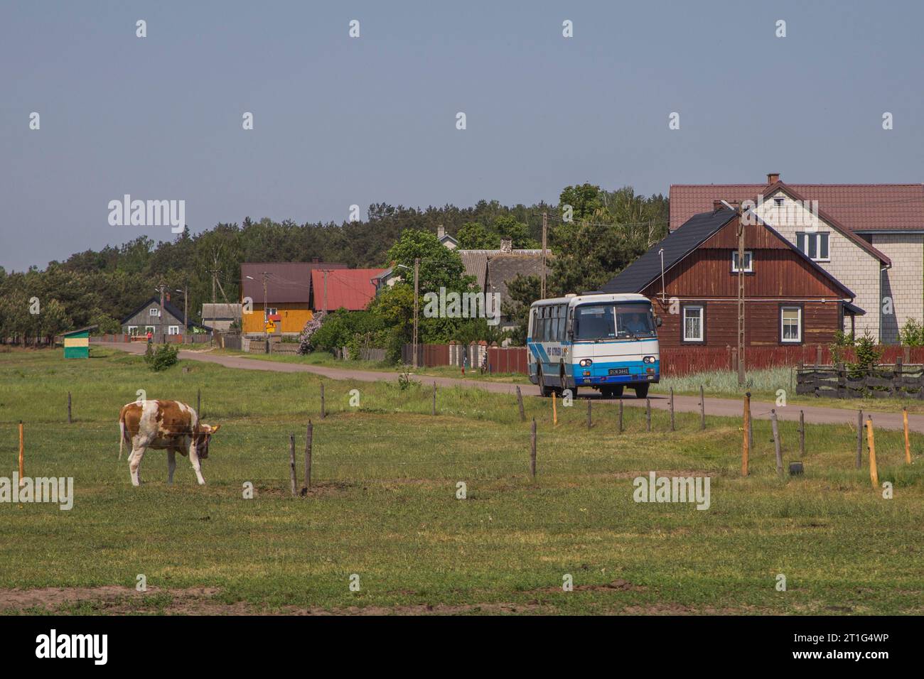 11.05.2018. Polonia, Kierzek. Autosan H9 da PKS Ostrołęka direzione Brodowe Łąki. Foto Stock