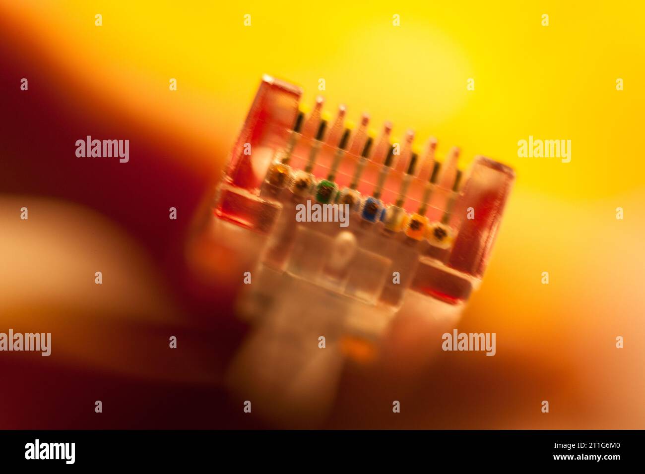 Dita che trattengono un cavo di rete Cat 5 Foto Stock
