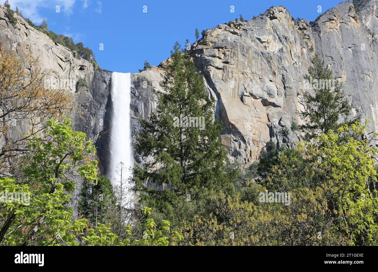 Bridalveil Falls, California Foto Stock