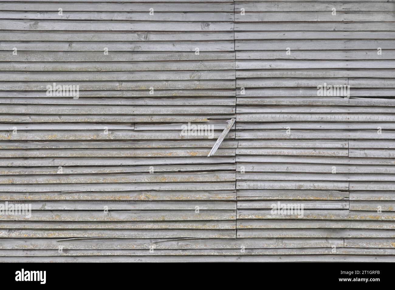 Vecchia struttura della parete in legno danneggiata da grigio naturale, grande dettaglio rustico e grunge dello sfondo orizzontale Foto Stock