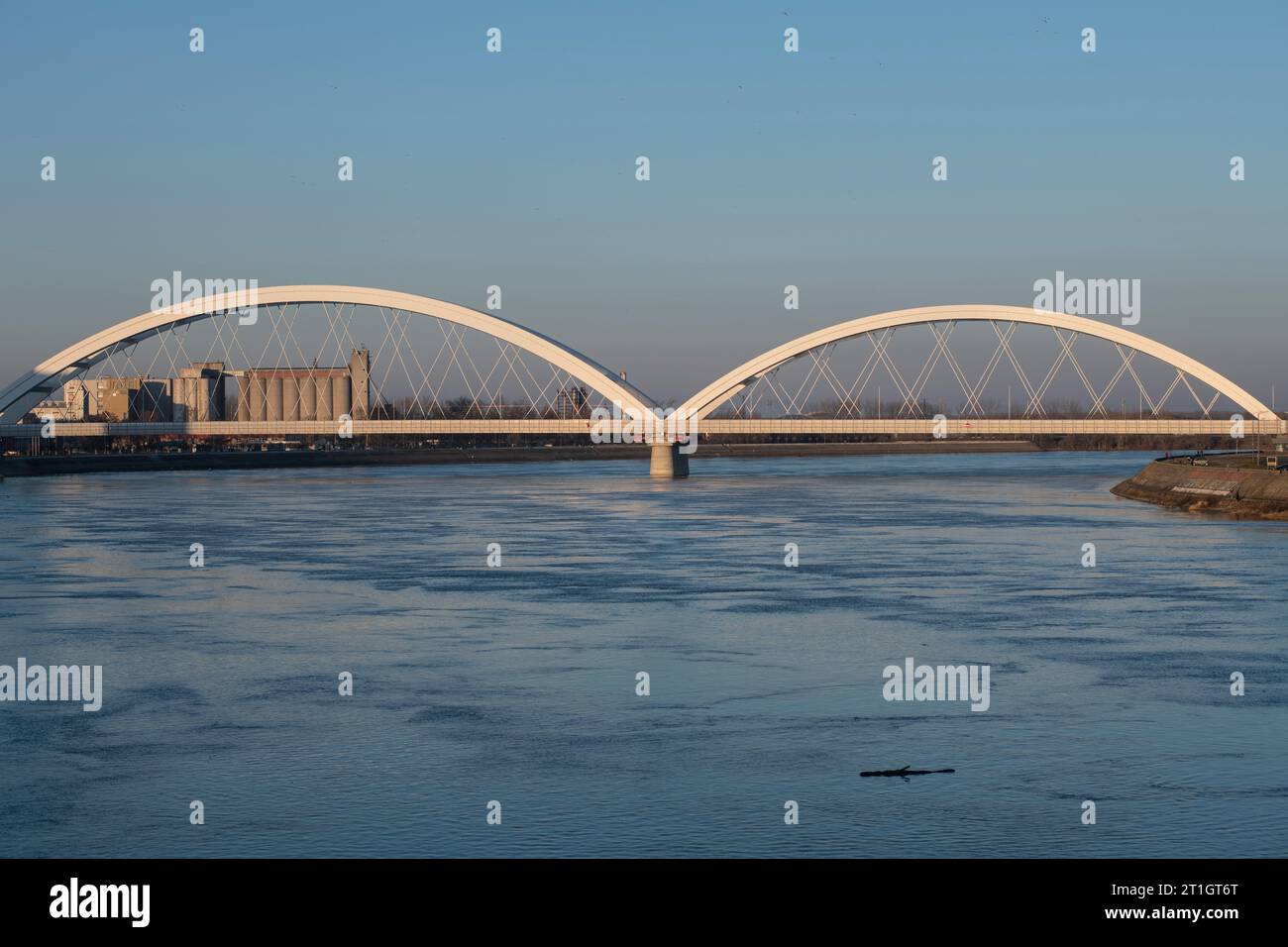 Novi Sad: Ponte Zezelj. Serbia Foto Stock