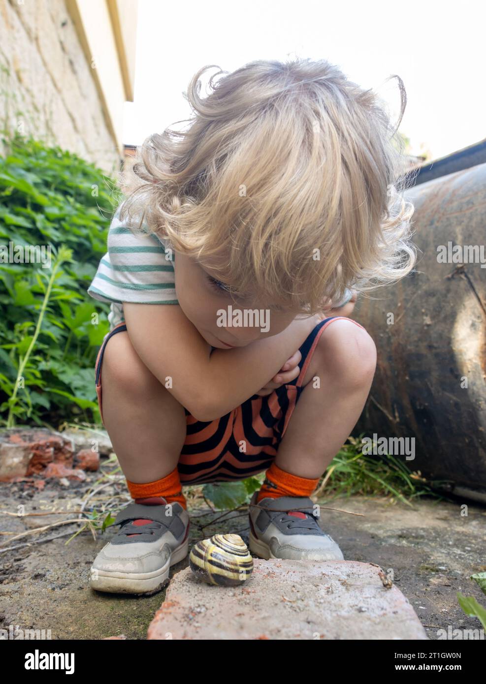 Un bambino ha scoperto una lumaca con un guscio in giardino Foto Stock