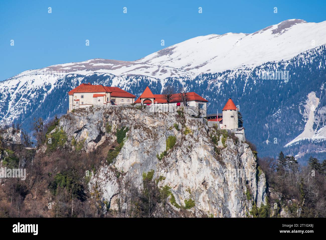 Castello di Bled, con montagne innevate sullo sfondo. Slovenia. Foto Stock