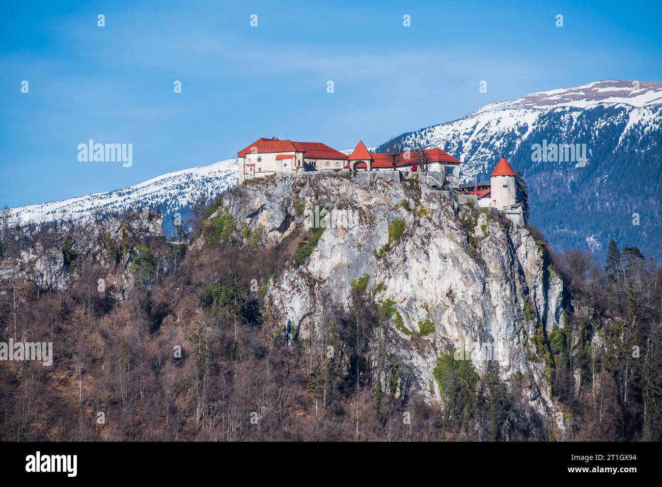Castello di Bled, con montagne innevate sullo sfondo. Slovenia. Foto Stock