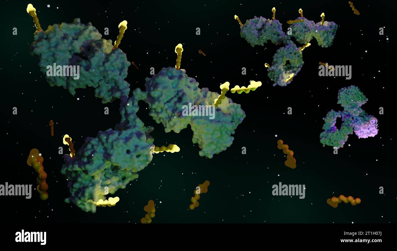 I coniugati di farmaci anticorpali (ADC) sono farmaci mirati che somministrano agenti chemioterapici alle cellule tumorali rendering 3d. Foto Stock