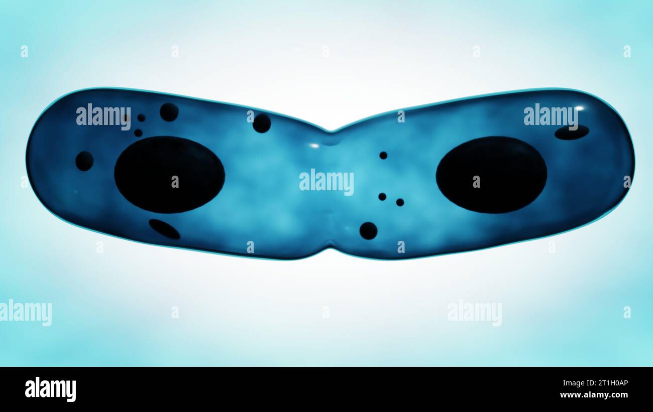 La divisione delle celle si verifica quando una cella padre si divide in due o più celle chiamate celle figlie rendering 3D. Foto Stock