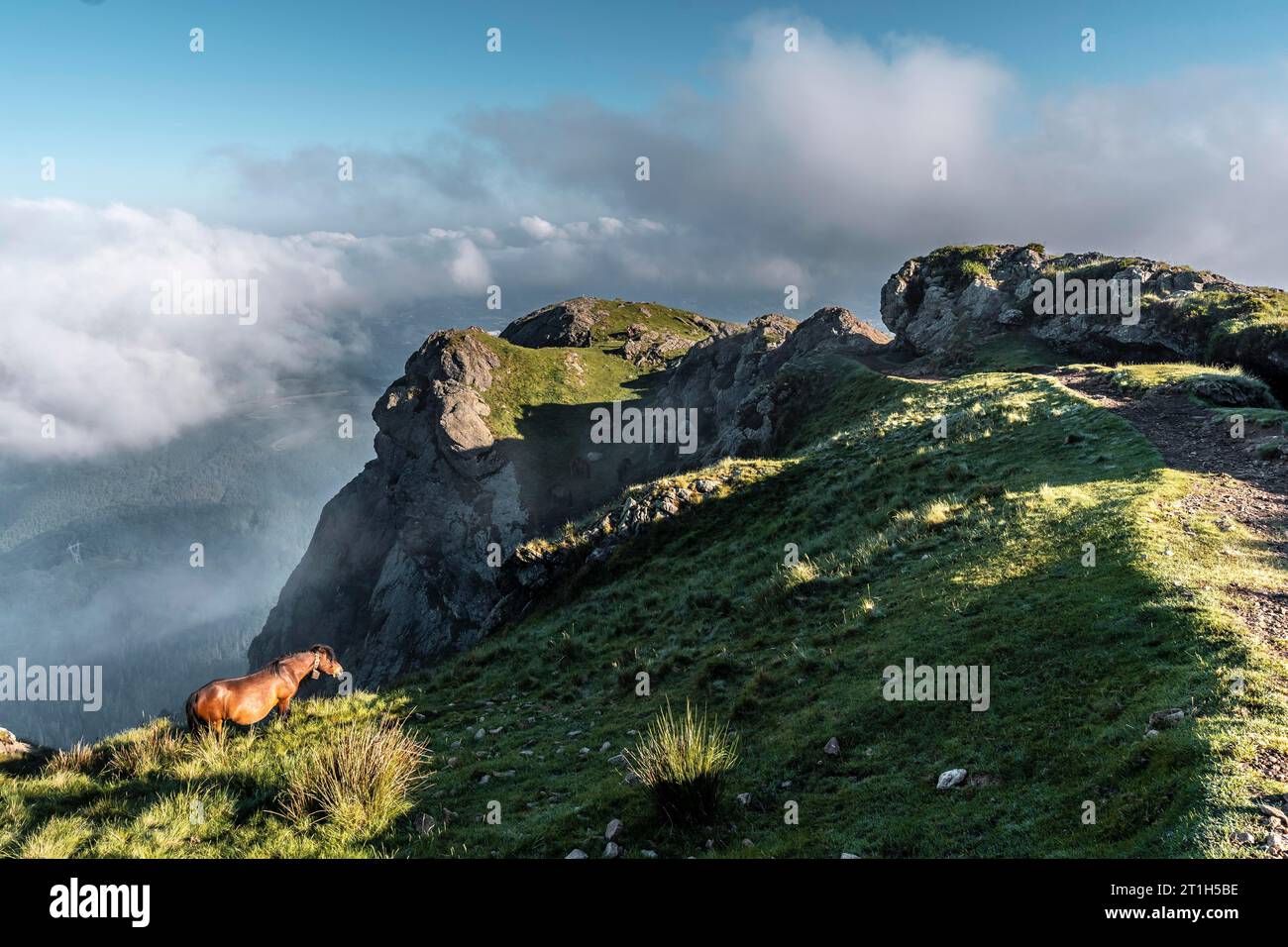 Un cavallo che corre sulla cima del magico monte di Penas de Aya o anche chiamato Aiako Harria, Oiartzun. Provincia di Gipuzkoa dei Paesi Baschi. Foto Stock