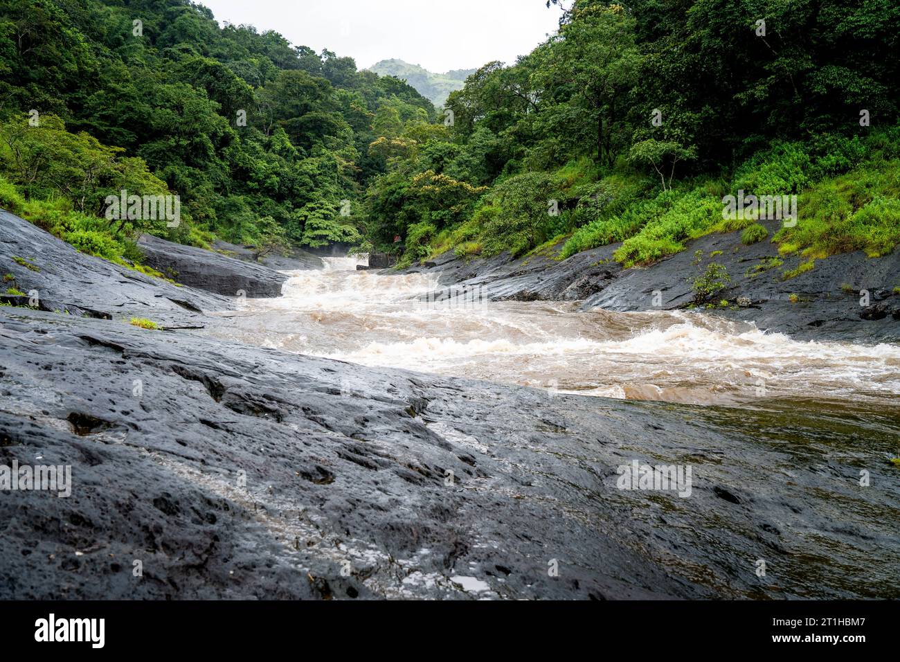 Le cascate Kozhippara, note anche come Kakkadampoyil Falls, sono cascate situate nel distretto di Malappuram nel Kerala, in India. Foto Stock