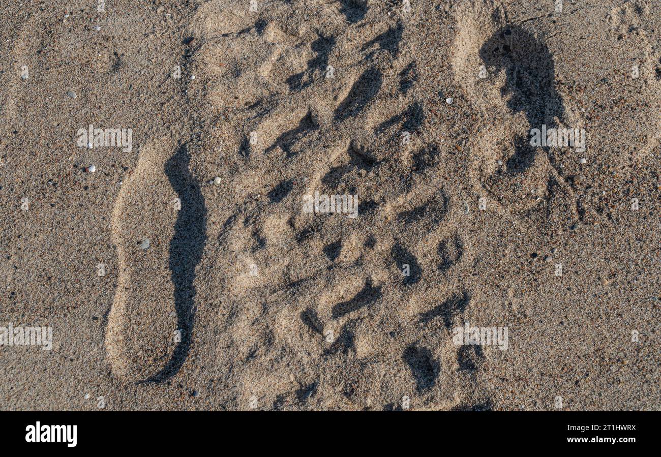 Tracce di pneumatici e impronte sulla sabbia del mare in autunno Foto Stock