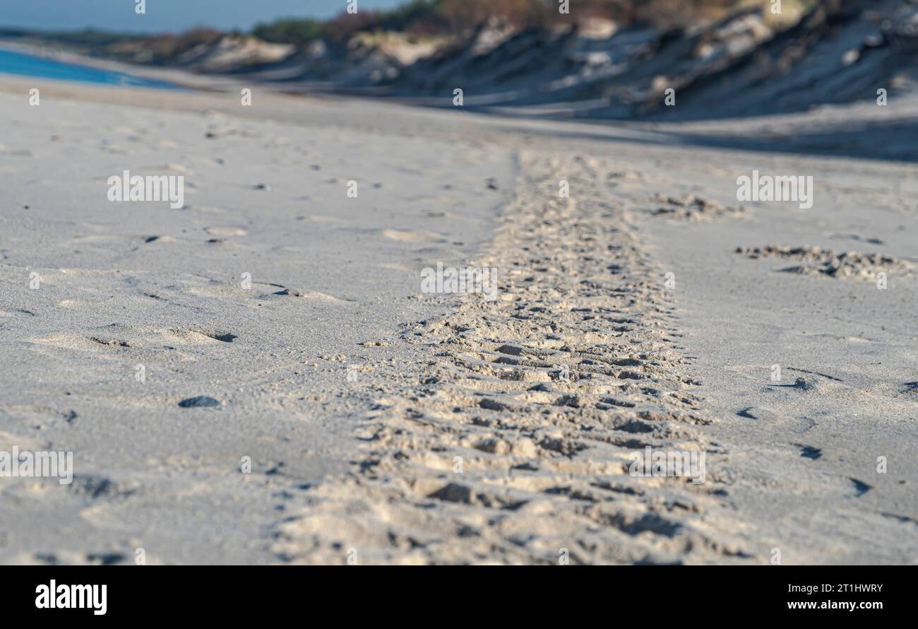 segni di pneumatici sulla sabbia in una giornata di sole autunnale Foto Stock