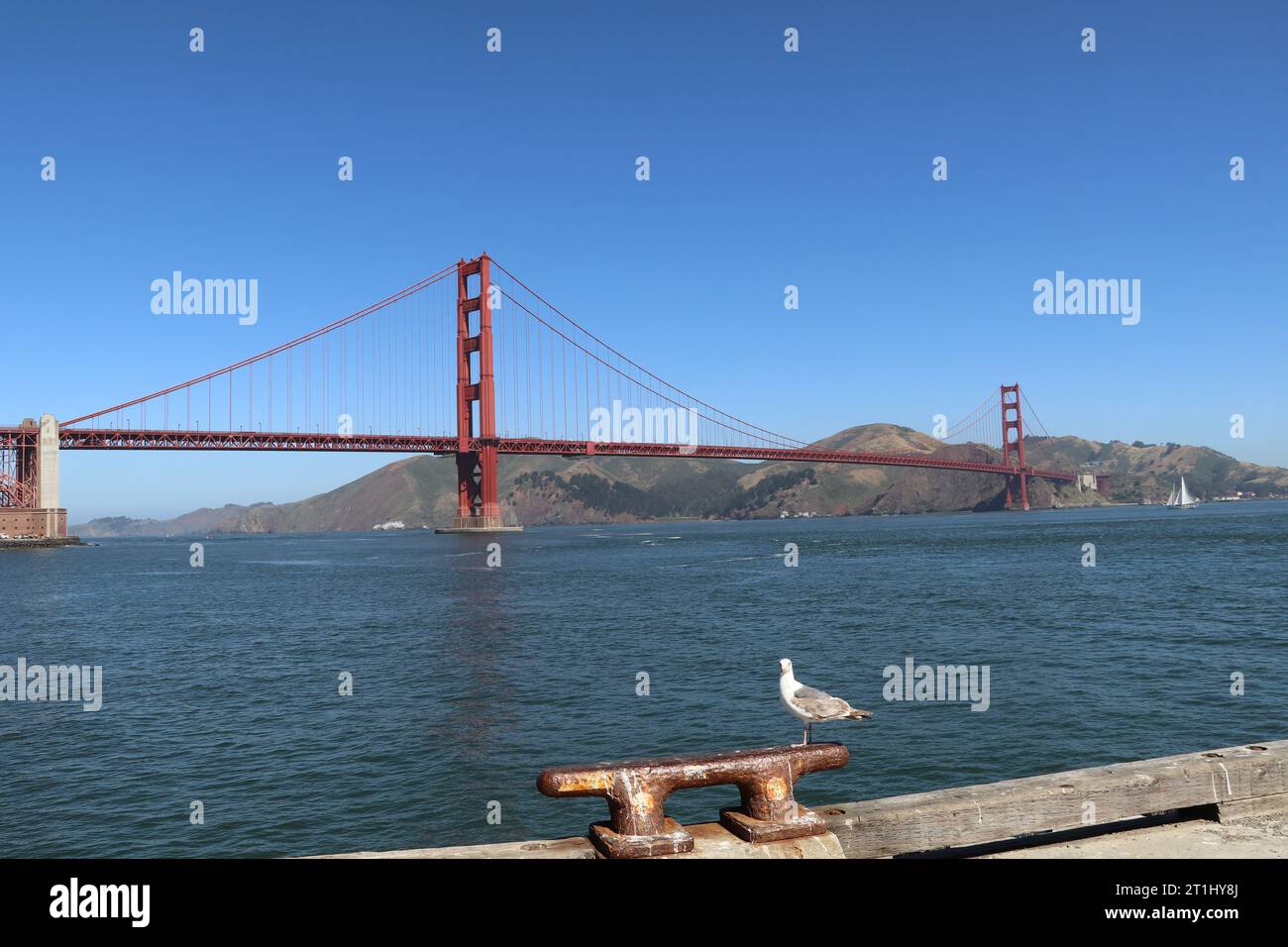 Alba sul Golden Gate Bridge California. Foto Stock